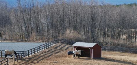 New Jersey <b>Horse</b> & Equestrian <b>Properties</b> <b>Horse</b> Farm. . Horse property for rent by owner
